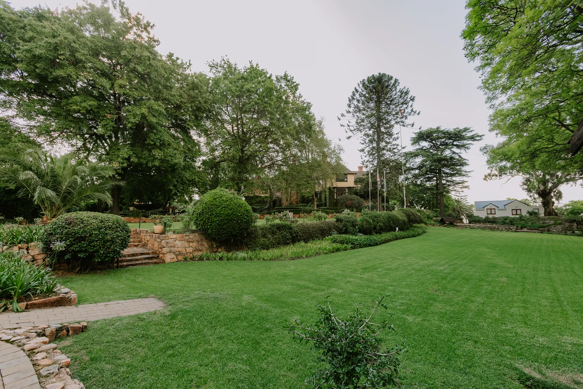 Polly-Ann-Lawn-04