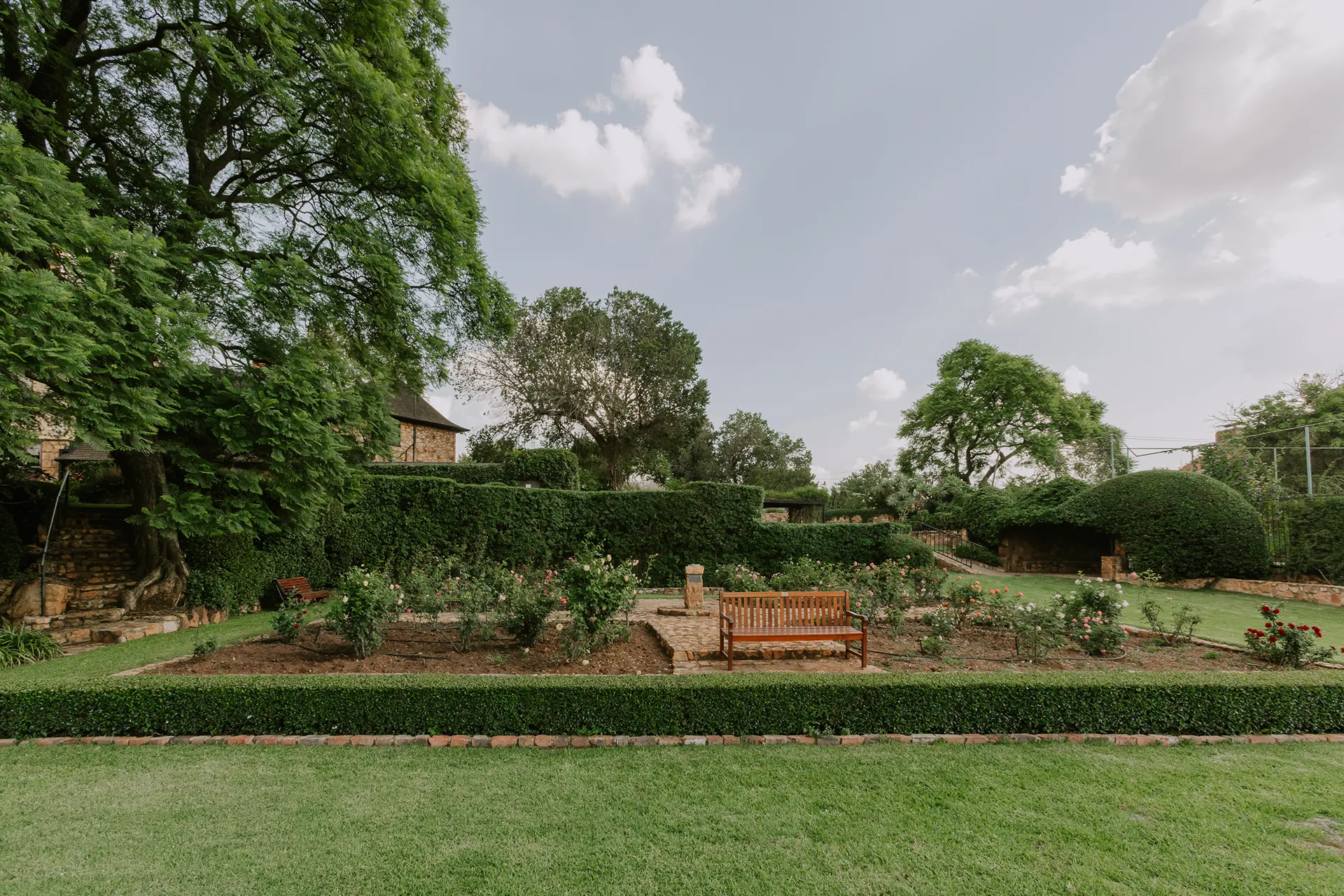 Rose-Garden-03